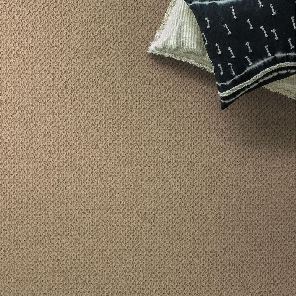 Anderson Tuftex Gracious Carpet in Golden Rule, , large