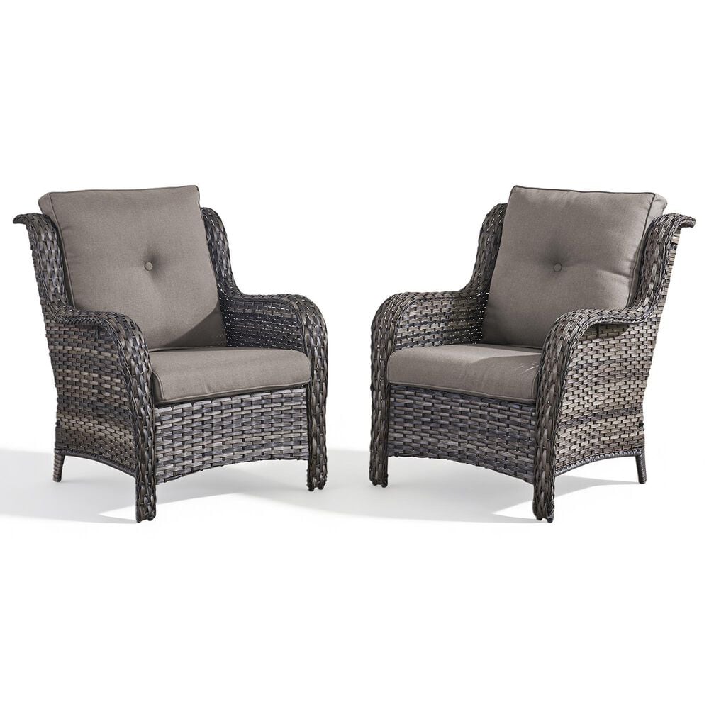 Sunwell Garden Patio Chair in Gray (Set of 2), , large