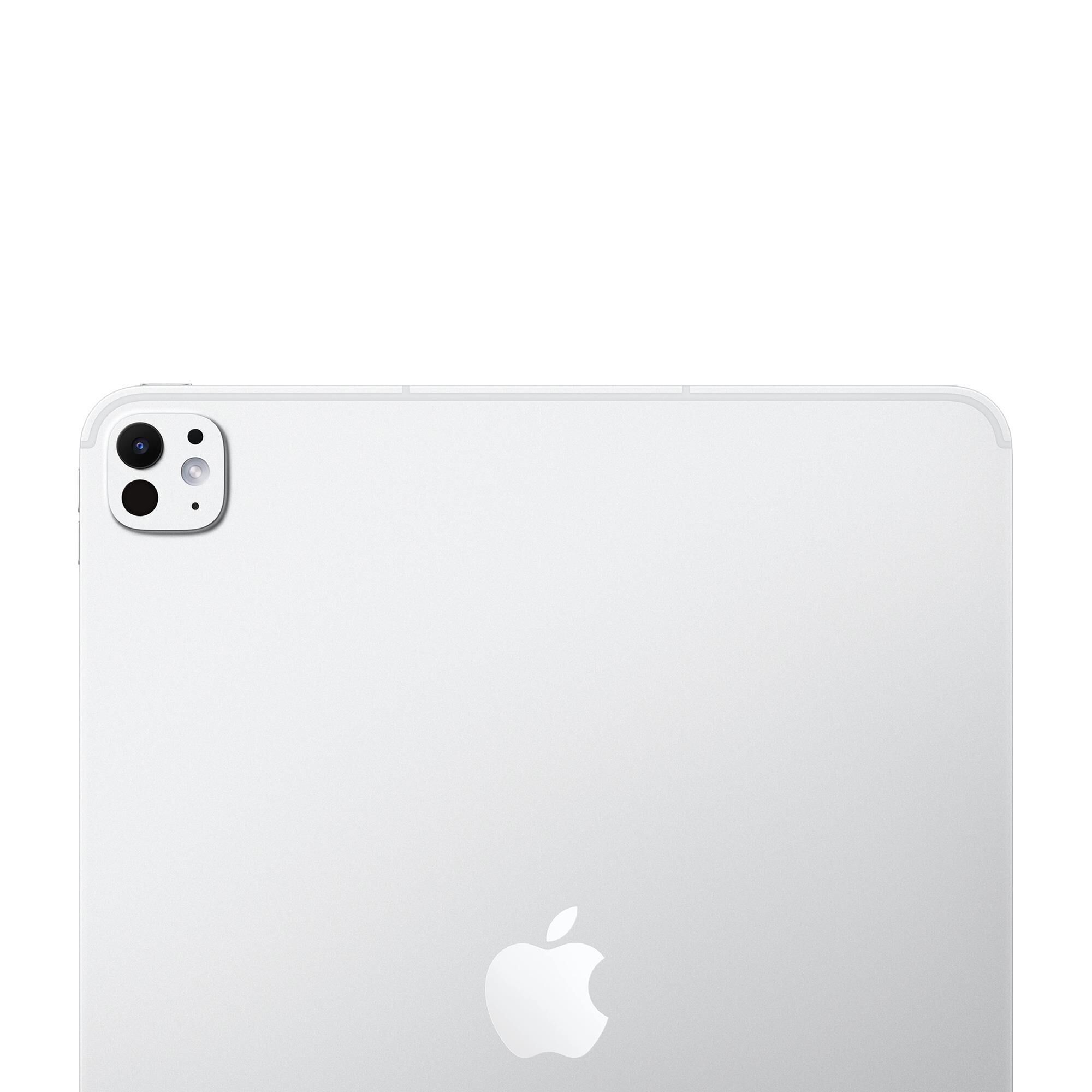Apple 13