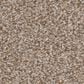 Shaw Trusplendor Carpet in Cottage, , large