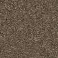 Anderson Tuftex Elegant Beauty Carpet in Moonbeam, , large