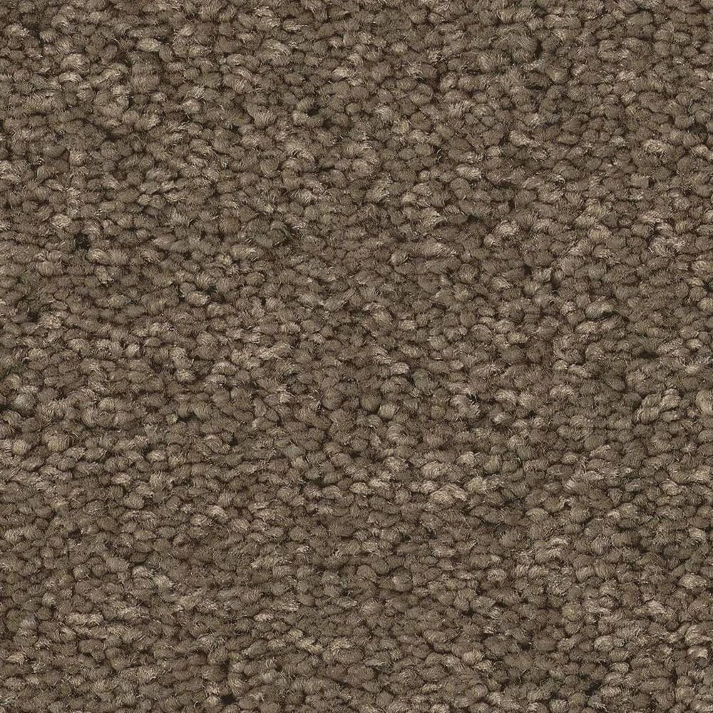 Anderson Tuftex Elegant Beauty Carpet in Moonbeam, , large