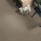 Shaw Detailed Elegance III Carpet in Flax, , large