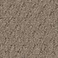 Anderson Tuftex West Fork Carpet in Shitake, , large