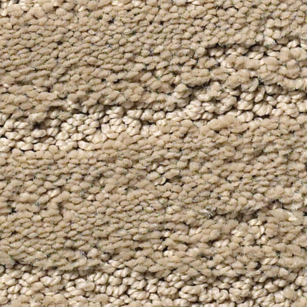 Anderson Tuftex Pose Carpet in Coronado, , large