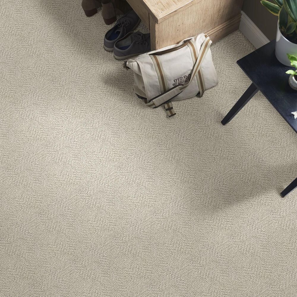 Anderson Tuftex Luna Carpet in Smokey Taupe, , large