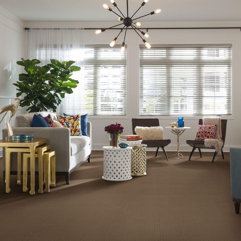 Shaw Foundations Formalize Carpet in Raw Wood, , large