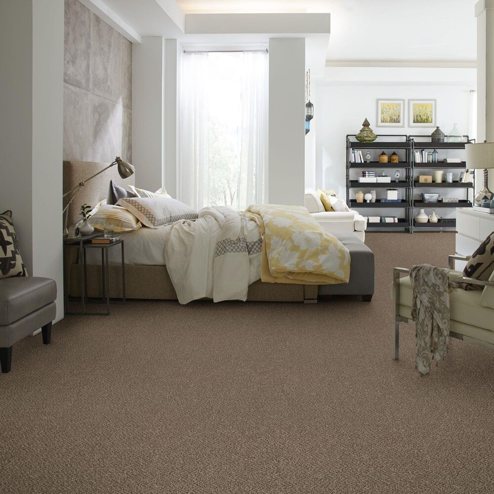 Philadelphia Mixed Essentials Carpet in Raw Wood, , large