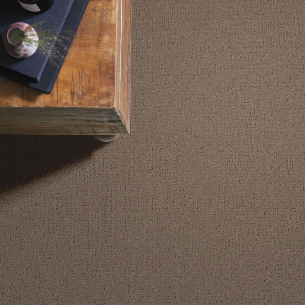 Anderson Tuftex Adair Carpet in Meet And Greet, , large