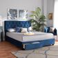 Baxton Studio Caronia Queen Upholstered Storage Bed in Navy Blue, , large