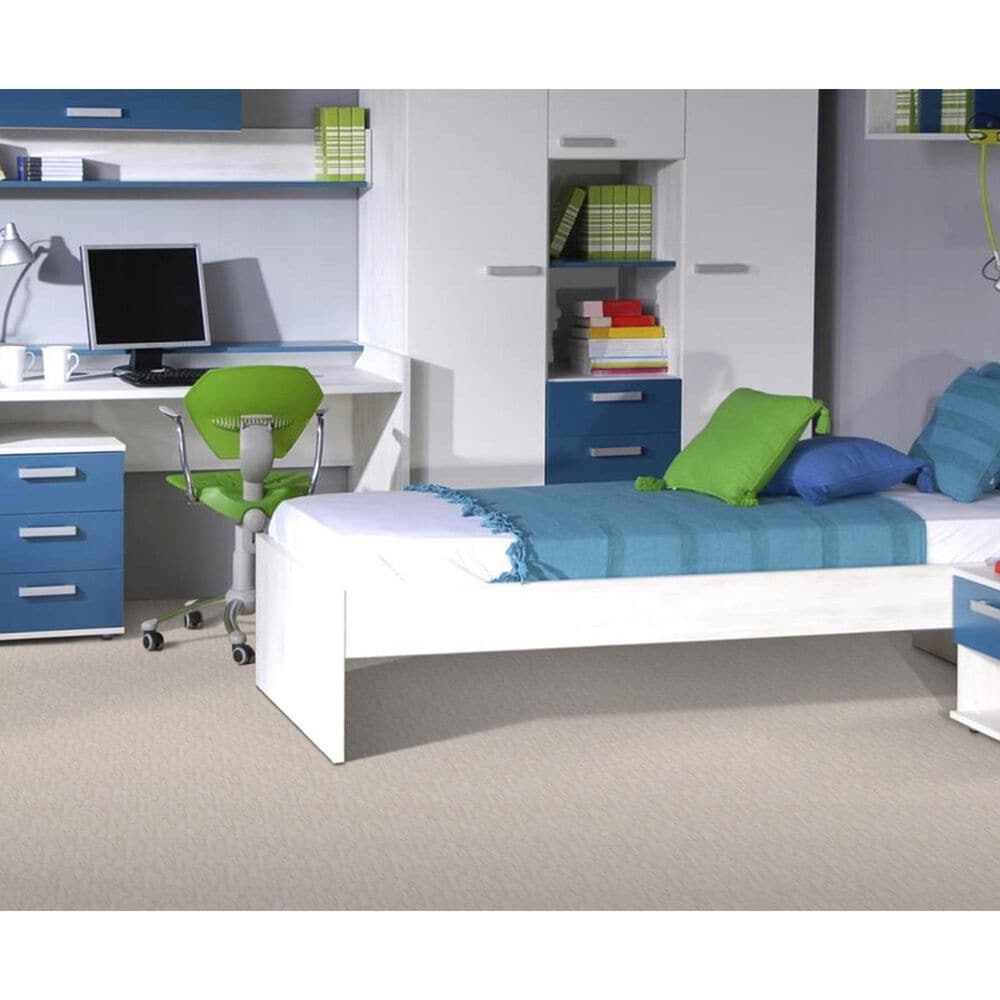 Lexmark Carpet Mills Inc. Sedona Carpet in Alabaster, , large