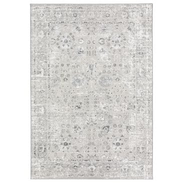 Dalyn Rug Company Rhodes Oriental 9" x 13" Silver Area Rug, , large