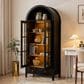 HOMLUX Arched Storage Cabinet with LED Induction Lights in Black, , large