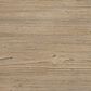 Eastern Shore Bello Convertible Crib in Sandstone, , large