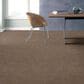 Anderson Tuftex Caress  Artistic Presence Carpet in Tumbleweed, , large