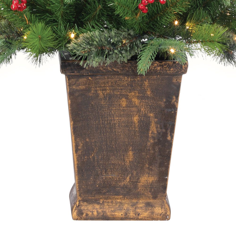 The Gerson Company 6&#39; Potted Pre-Lit Hard Needle Douglas Pine with White LED in Green, , large