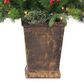 The Gerson Company 6" Potted Pre-Lit Hard Needle Douglas Pine with White LED in Green, , large