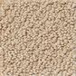 Shaw Detailed Statement Loop Carpet in Mesa, , large