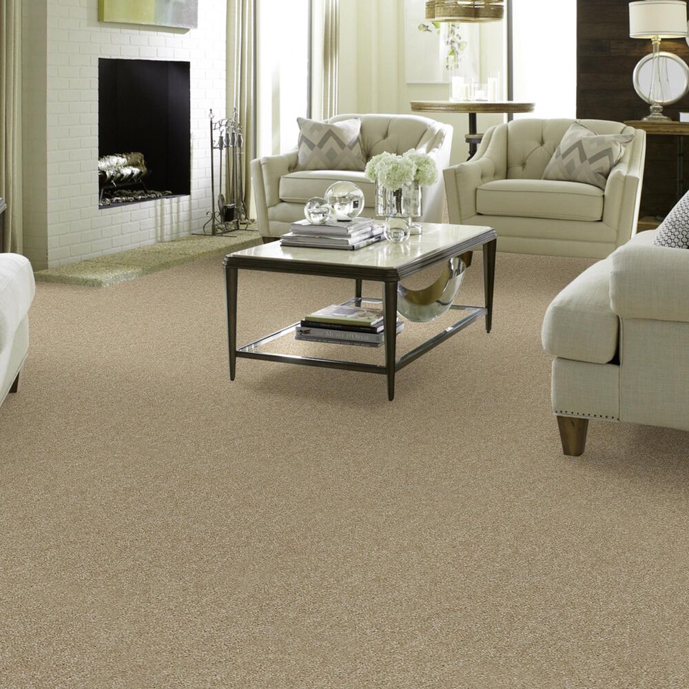 Shaw Foundations Take The Floor Texture II Carpet in Hazelnut, , large