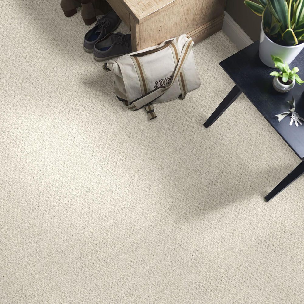 Anderson Tuftex San Lucas Carpet in Aged White, , large