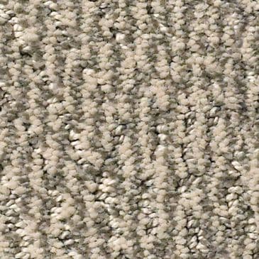 Anderson Tuftex Fur-Ever Carpet in Danville, , large