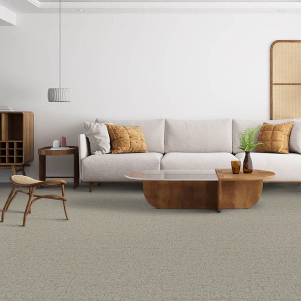Dixie Home Genuine Carpet in Actual, , large