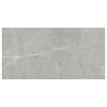 Emser Sterlina Gray 12" x 24" Polished Porcelain Tile, , large