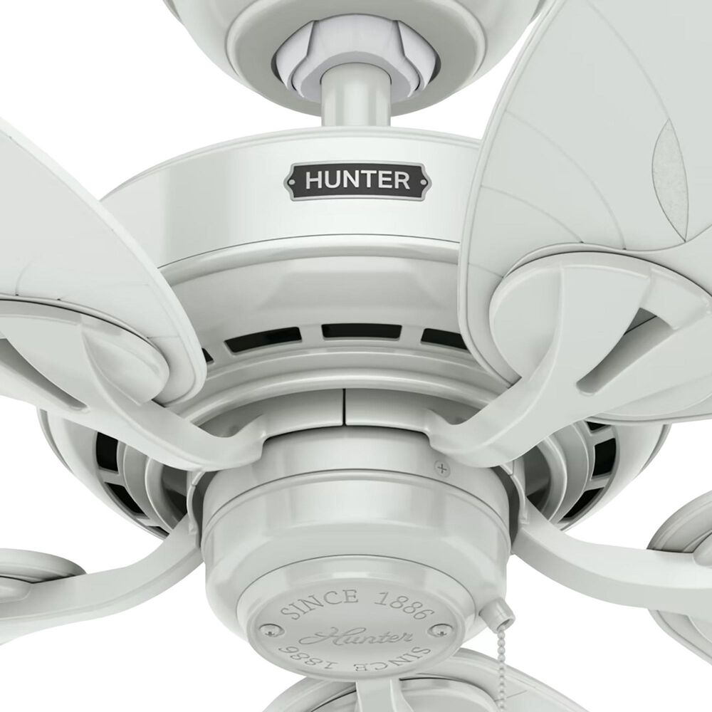 Hunter Bayview 54&quot; Outdoor Ceiling Fan in White, , large