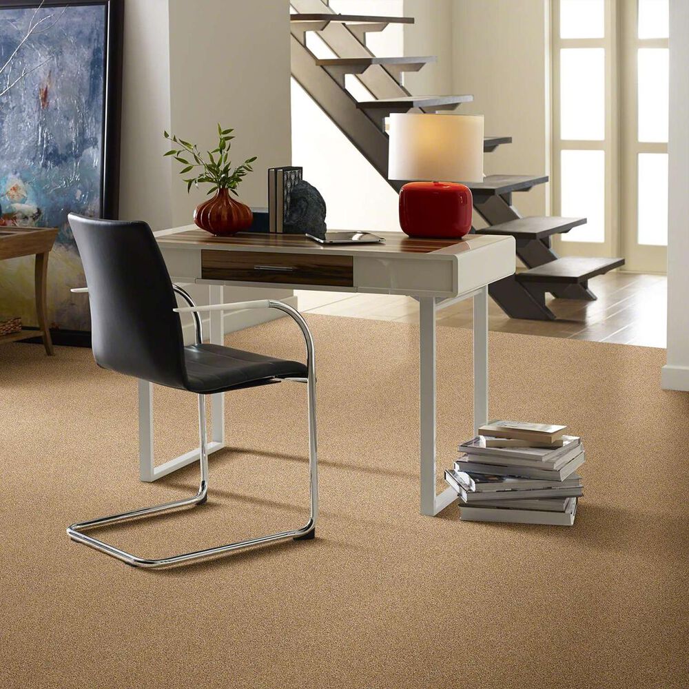 Shaw Acadia Park Carpet in Farro, , large
