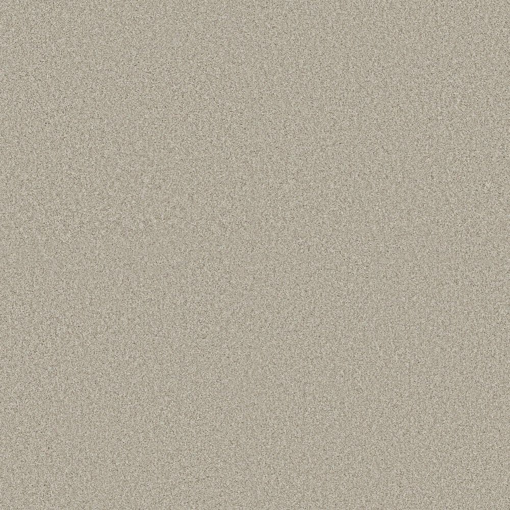 Shaw Tonal Comfort II Carpet in Need A Hug, , large