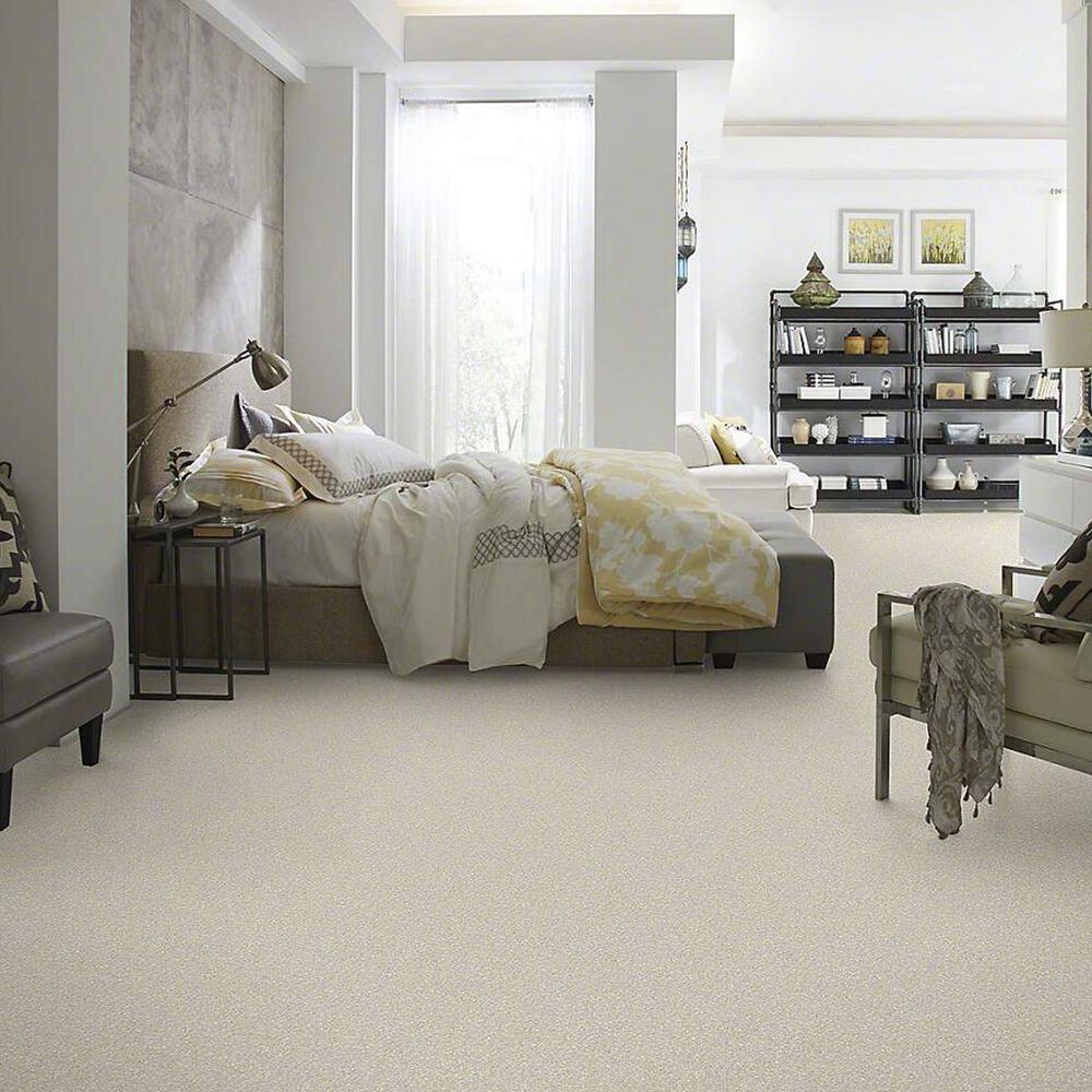 Anderson Tuftex Barracan Classic I Carpet in Heirloom, , large