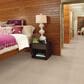 Shaw Metro Life Carpet in Theatre Center, , large