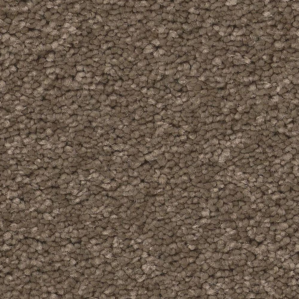 Anderson Tuftex Elegant Beauty Carpet in Carafe, , large