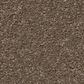 Anderson Tuftex Elegant Beauty Carpet in Carafe, , large