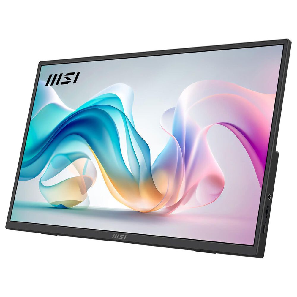MSI 15.6" Full HD IPS Portable Monitor in Matte Black, , large