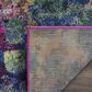 Safavieh Monaco MNC225D-4 4" x 5"7" Pink/Multi Area Rug, , large