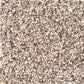 Shaw Foundations Take The Floor Accent II Carpet in Everest, , large