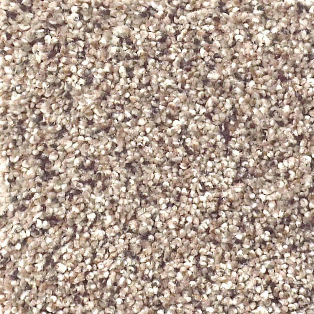 Shaw Foundations Take The Floor Accent II Carpet in Everest, , large
