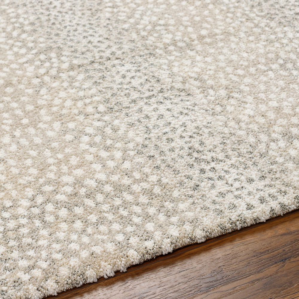 Surya Gavic 2&#39; x 3&#39; Light Grey Area Rug, , large