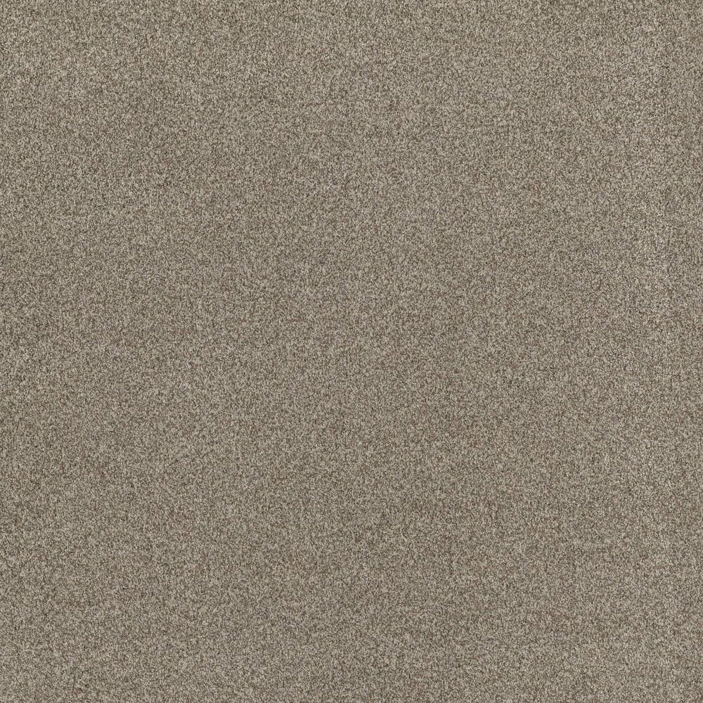 Anderson Tuftex Terra Nova Carpet in Urban Nature, , large