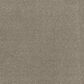 Anderson Tuftex Terra Nova Carpet in Urban Nature, , large