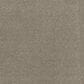 Anderson Tuftex Terra Nova Carpet in Urban Nature, , large