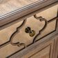 Furniture of America Lyris 5-Drawer Chest in Rustic Oak, , large