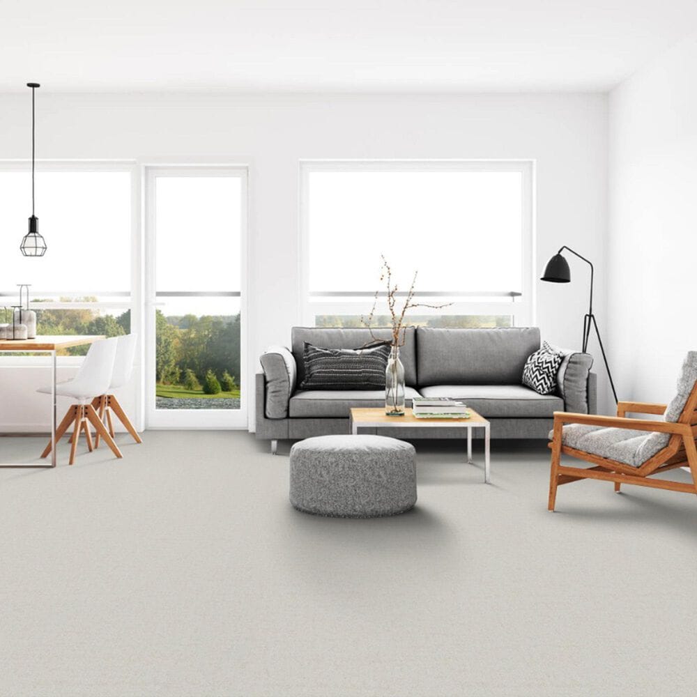Dixie Home Genuine Carpet in Honorable, , large