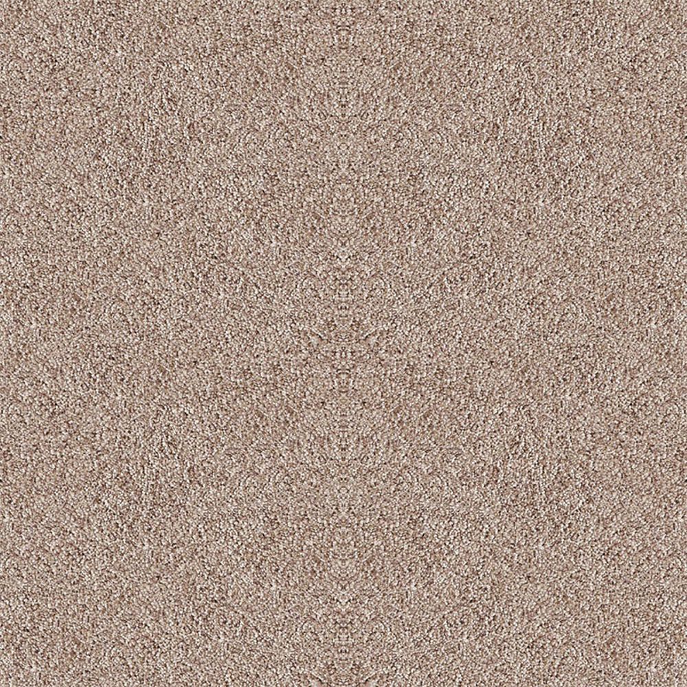 Dixie Home Noble Guardian Carpet in Bark, , large