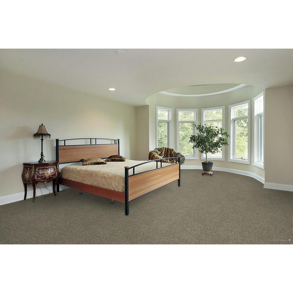 Dream Weaver Breakview I Carpet in Pine Log, , large