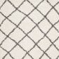 Safavieh Dallas Shag SGD258H-4 4" x 6" Ivory/Dark Grey Area Rug, , large