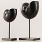 Safavieh Debra Snail Table Decor in Black (Set of 2), , large