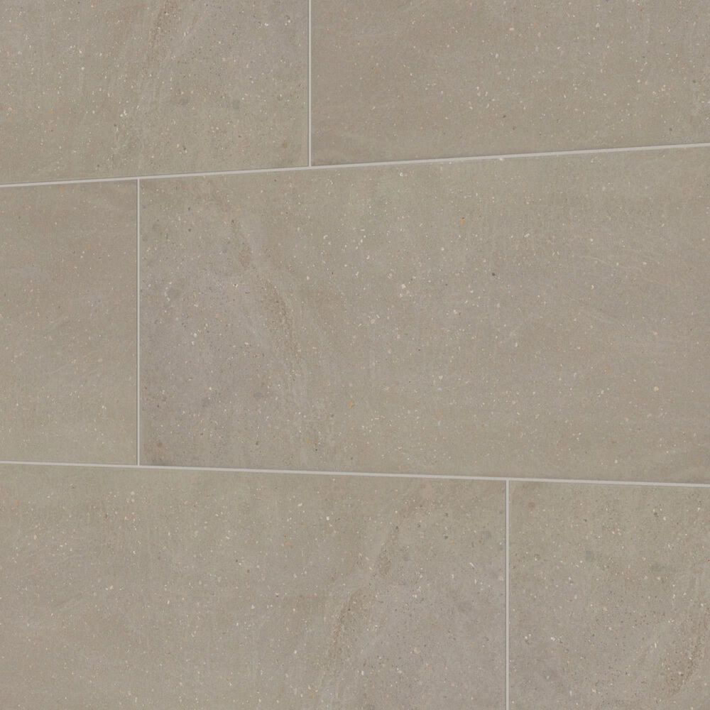 Dal-Tile Exposition Greige 12" x 24" Porcelain Tile, , large