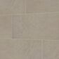 Dal-Tile Exposition Greige 12" x 24" Porcelain Tile, , large